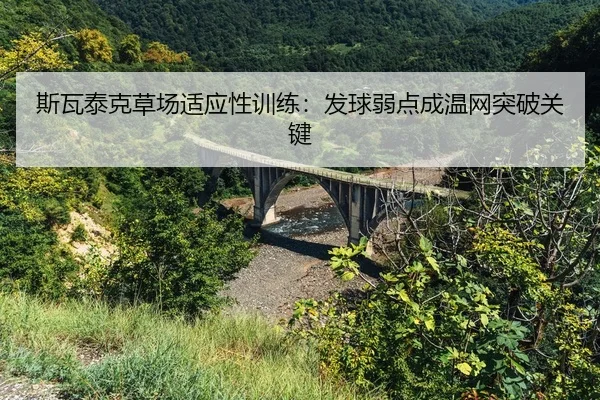 斯瓦泰克草场适应性训练：发球弱点成温网突破关键